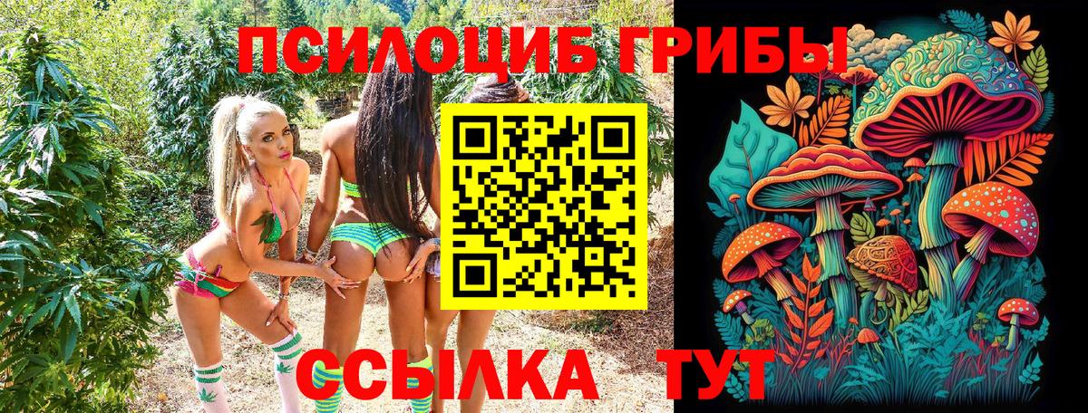 Галлюциногенные грибы мухоморы  Вход с VPN  Галлюциногенные грибы GOLDEN TEACHER  Саяногорск 