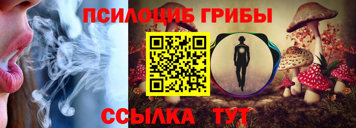 Галлюциногенные грибы MAGIC MUSHROOMS Саяногорск